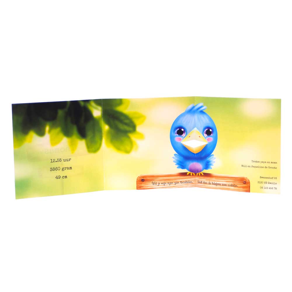 Geboortekaartje 3-luik met blauw vogeltje en naam op hout.