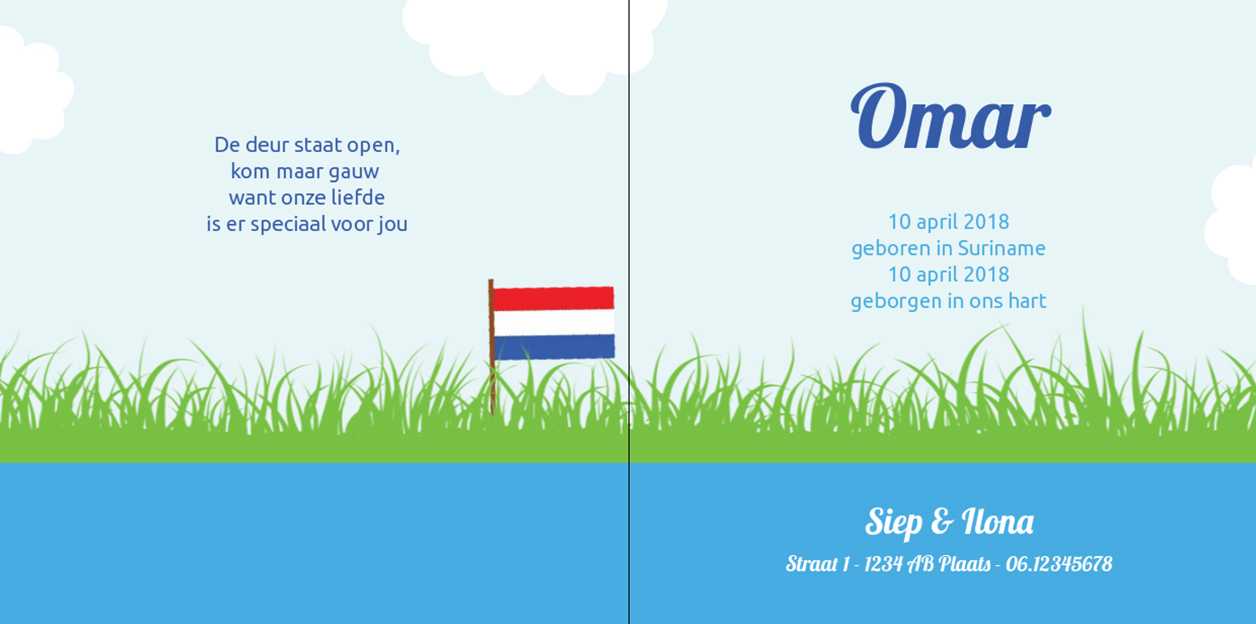 Adoptie kaartje Hollands, baby met vlag in het gras op blauw.