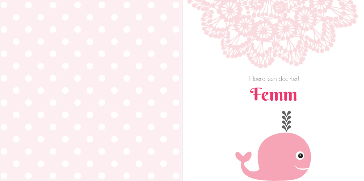 Geboortekaartje roze walvis op wit en roze kantje.