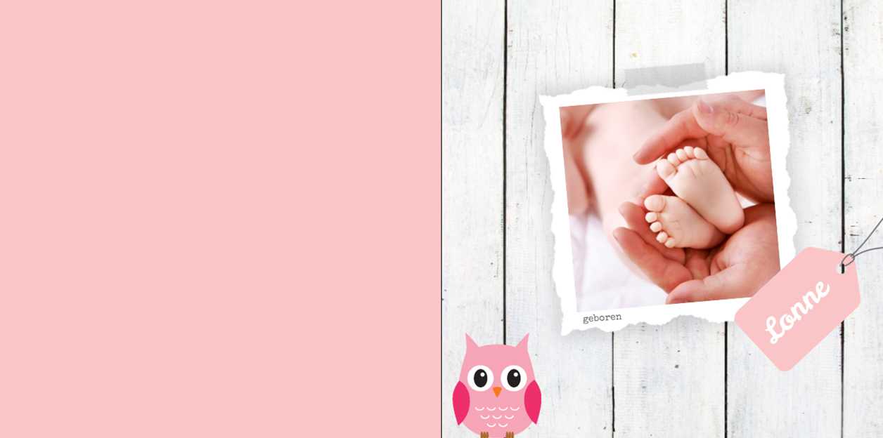 Geboortekaartje foto met voetjes en roze uiltje.