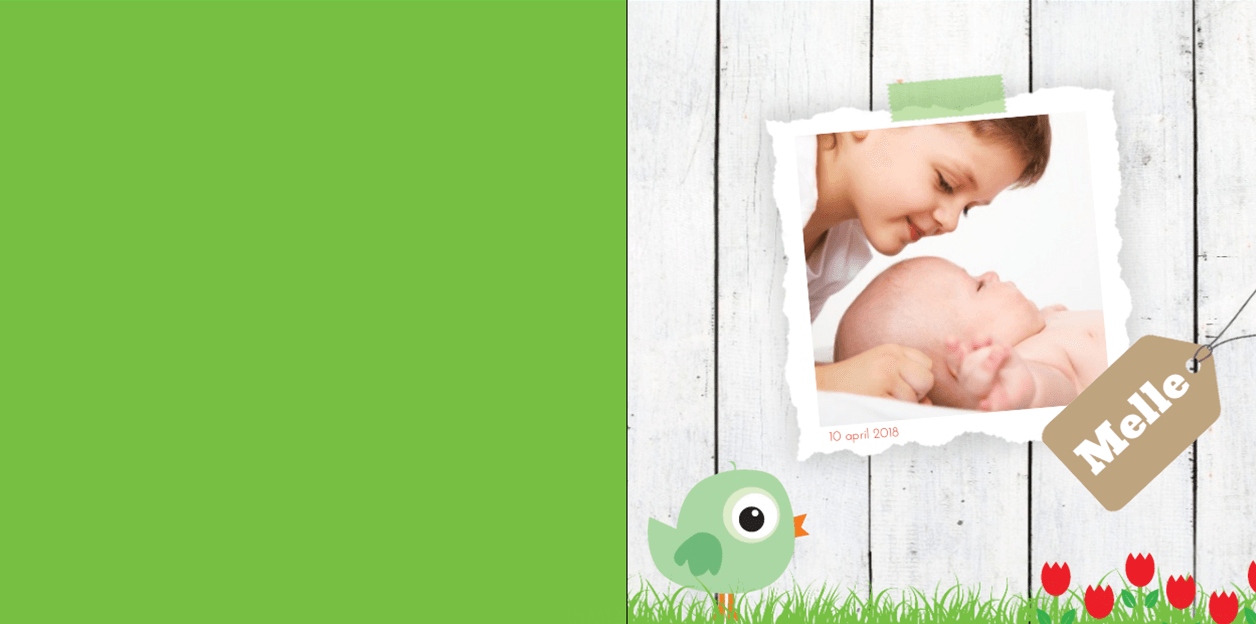 Geboortekaartje foto met groen vogeltje en tulpjes.