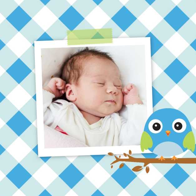 Geboortekaartje foto met blauw vogeltje.
