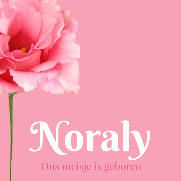 Modern roze geboortekaartje met roos.