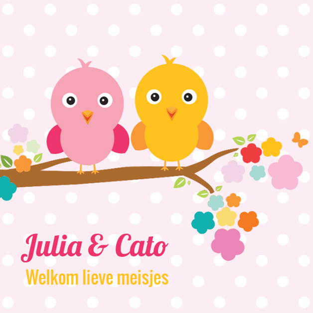 Tweeling geboortekaartje roze oranje vogeltje op tak.