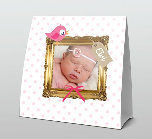 Geboortekaartje foto in lijst en roze vogeltje kaart in tentvorm.