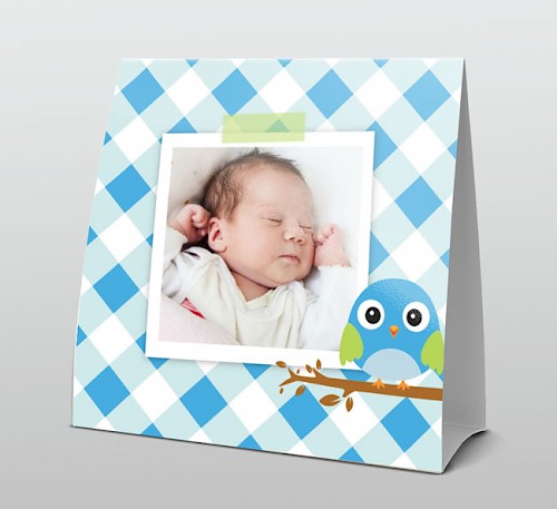 Geboortekaartje foto met blauw vogeltje in tentvorm.