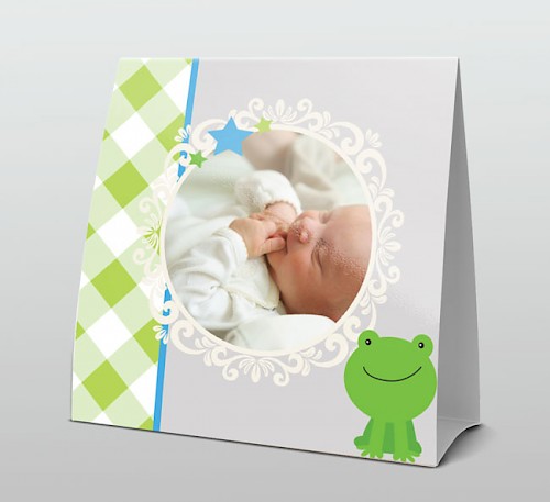 Geboortekaartje foto met groene kikkertje in de vorm van een tentkaart