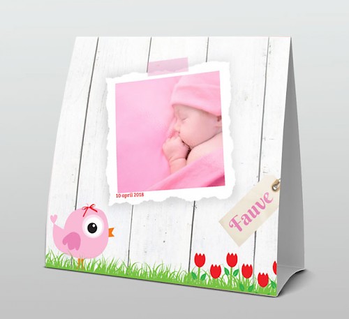 Geboortekaartje foto met roze vogel als tentkaart.